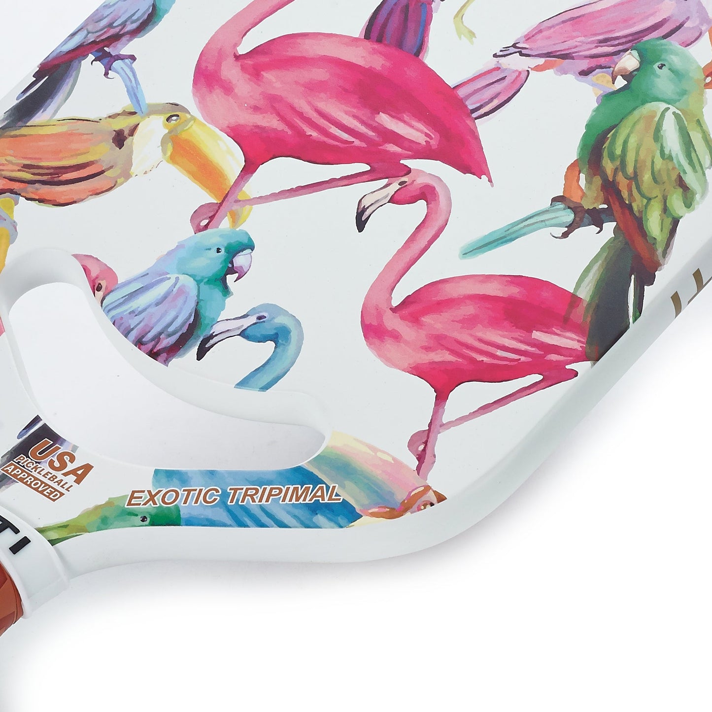 A close-up shows the ARTI Carbon Fiber EXOTIC TRIPIMAL "Flamingo" pickleball paddle, featuring colorful tropical bird illustrations and gold and blue “USA APPROVED” text. This USAPA approved paddle is from brand ARTI.