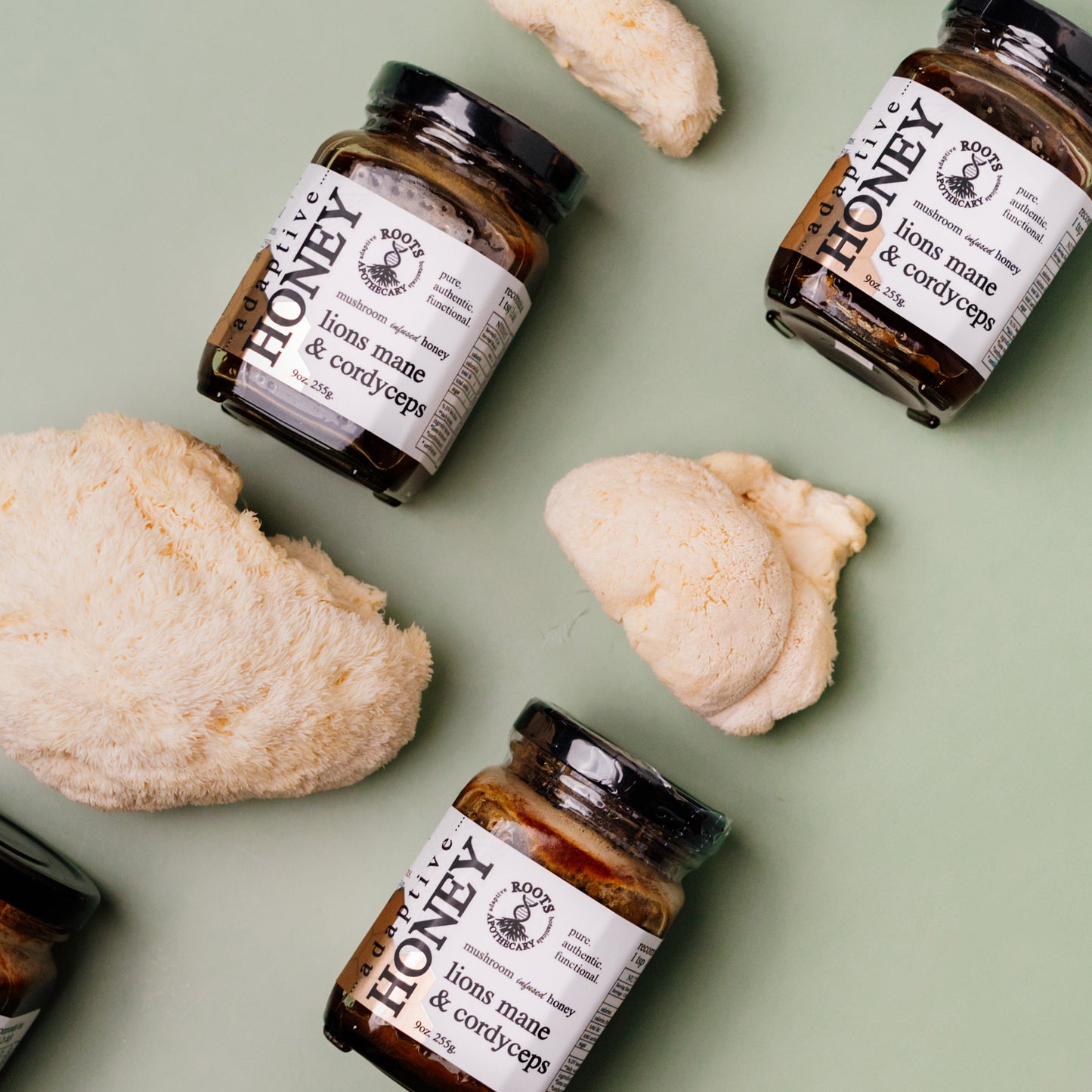 Four jars of Roots Apothecary adaptive honey. lion's mane & cordyceps, featuring mushroom-infused honey, sit on a pale green surface with three pieces of fluffy off-white lion’s mane mushrooms. The jars have white labels and black lids.
