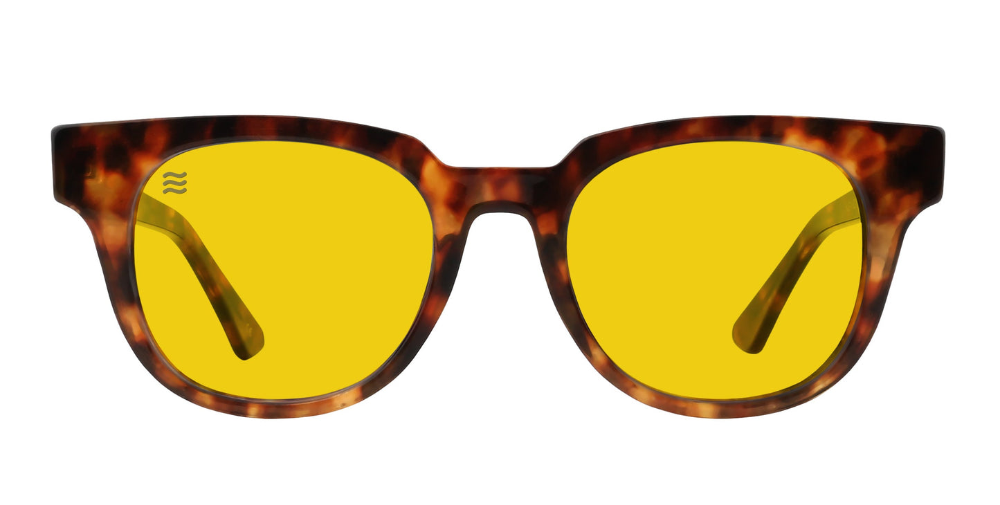 The Gryphon sunglasses by Neven Eyewear feature a tortoiseshell pattern, thick rounded frames, polarized yellow lenses, matching temples, and a small white wave logo on the upper left lens against a white background.