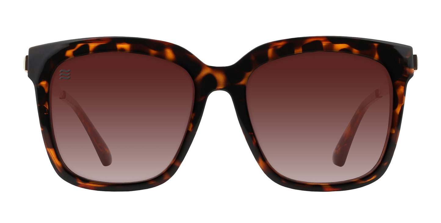Front view of Sarasota by Neven Eyewear: polarized sunglasses with a thick, square tortoise shell frame and large brown gradient lenses. The glossy amber-brown pattern offers style and UV400 protection. Arms are slightly visible through the lenses.