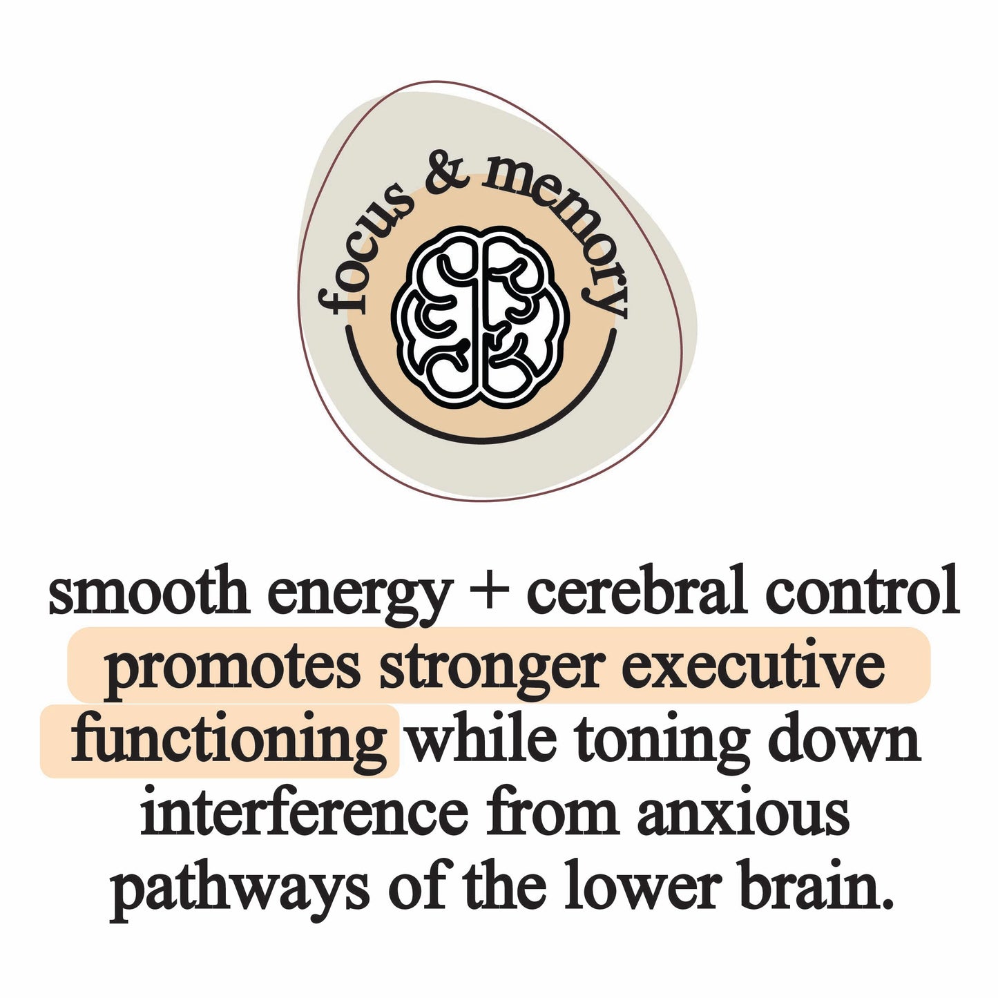 A circular graphic features a brain and “focus & memory” at the top. Text below: Smooth energy and cerebral control from Roots Apothecary elemental mushroom blend supports executive function while reducing interference from anxious pathways.