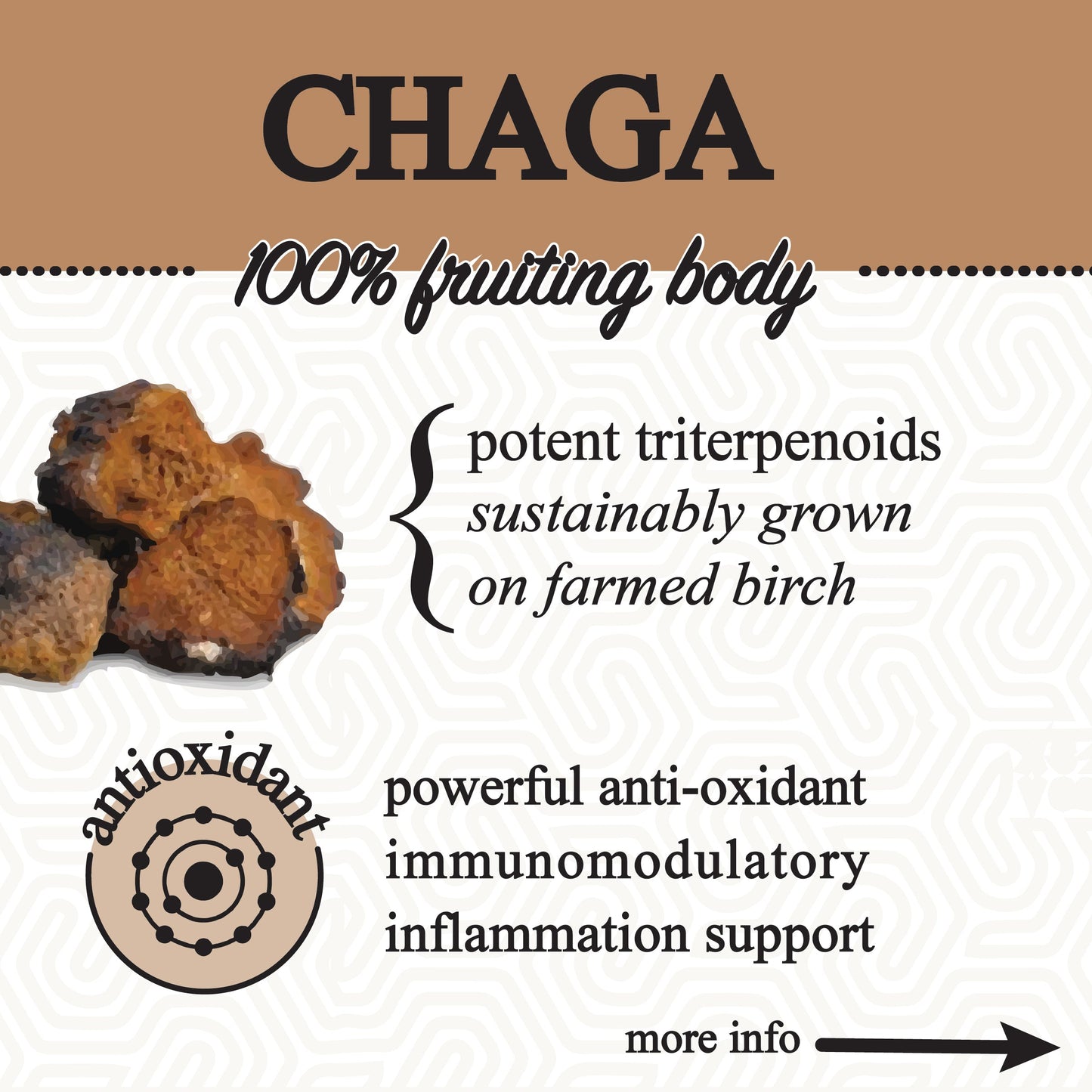 A graphic for Roots Apothecary's adaptive cacao. performance superfood. shows dark, irregular chunks labeled 100% fruiting body chaga with text on potent triterpenoids, sustainably farmed birch, and adaptogen drink benefits like antioxidant support.