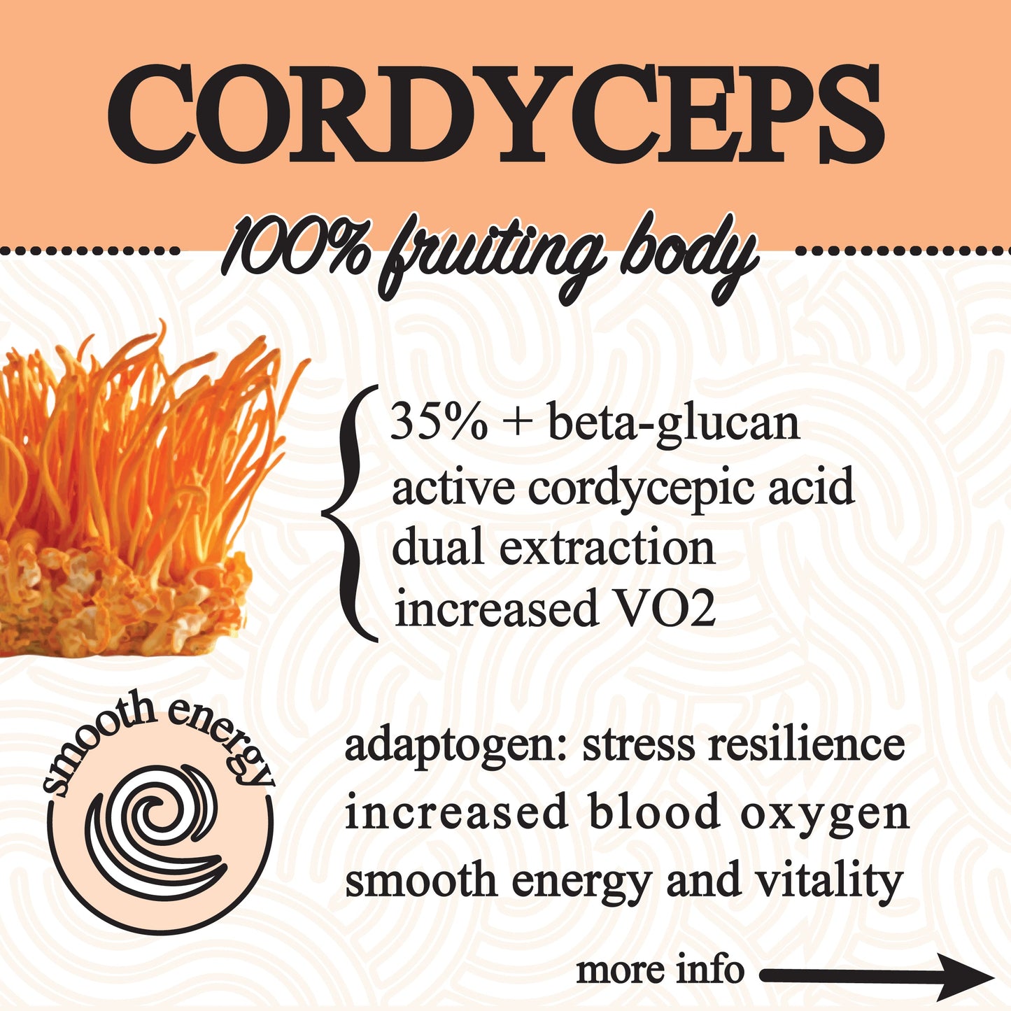 An infographic for Roots Apothecary adaptive cacao. performance superfood features an orange cordyceps mushroom image and key points: 100% fruiting body, 35%+ beta-glucan, dual extraction, increased VO2. Supports stress resilience and smooth energy.