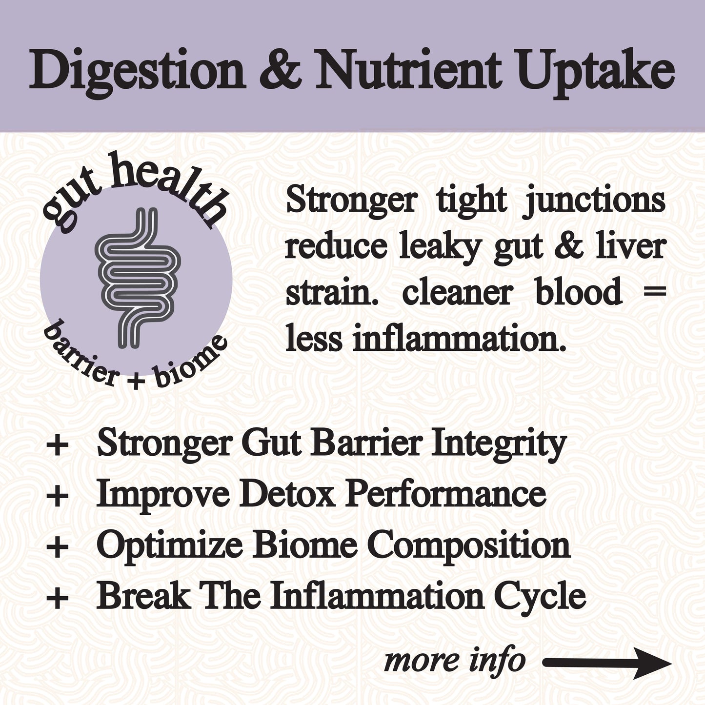 A graphic titled Digestion & Nutrient Uptake promotes Roots Apothecary's inflammation tincture, spotlighting gut health with an intestine icon and phrases like barrier + biome. Benefits: stronger gut barrier, dandelion root detox, optimized biome. Arrow leads to more info.