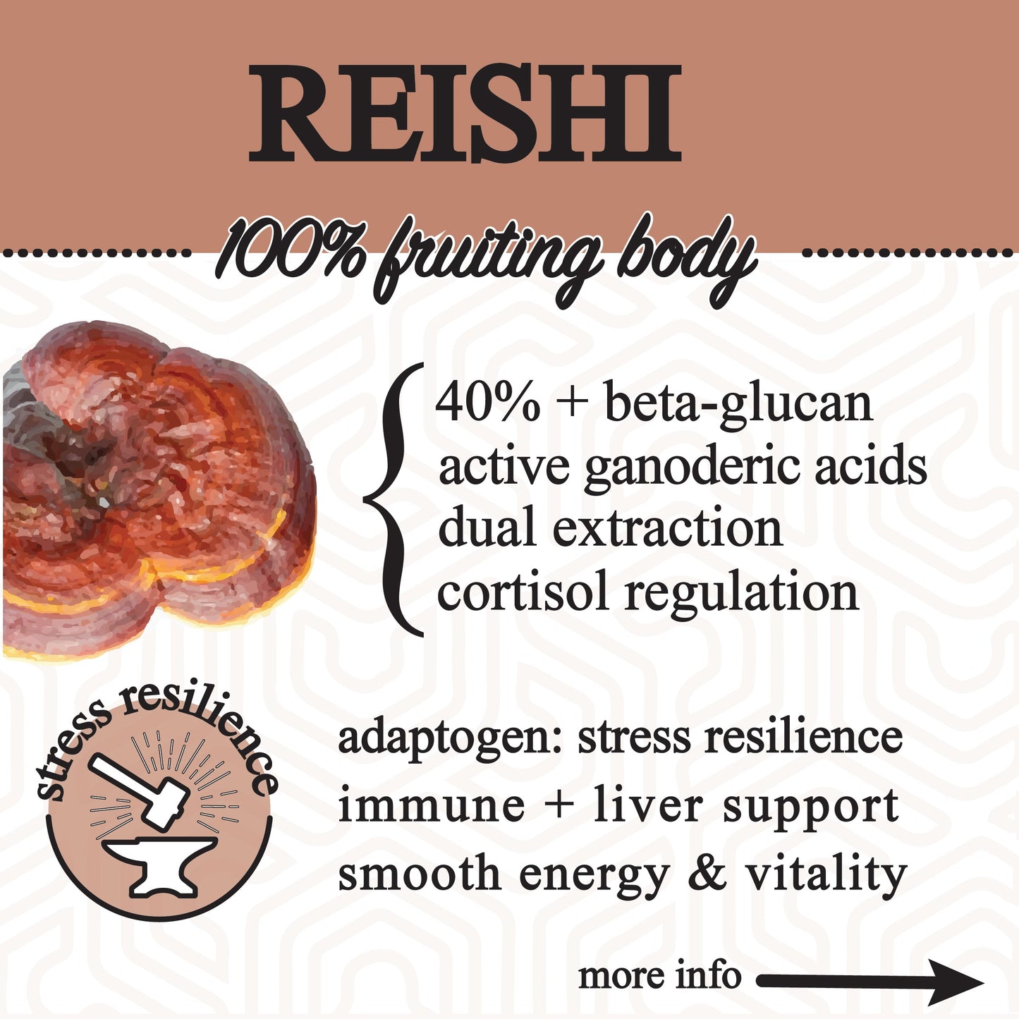 A graphic for Roots Apothecary adaptive cacao. performance superfood. shows a reddish Reishi on the left, highlighting 40%+ beta-glucan, active ganoderic acids, dual extraction—for stress resilience, immune support, energy & vitality.