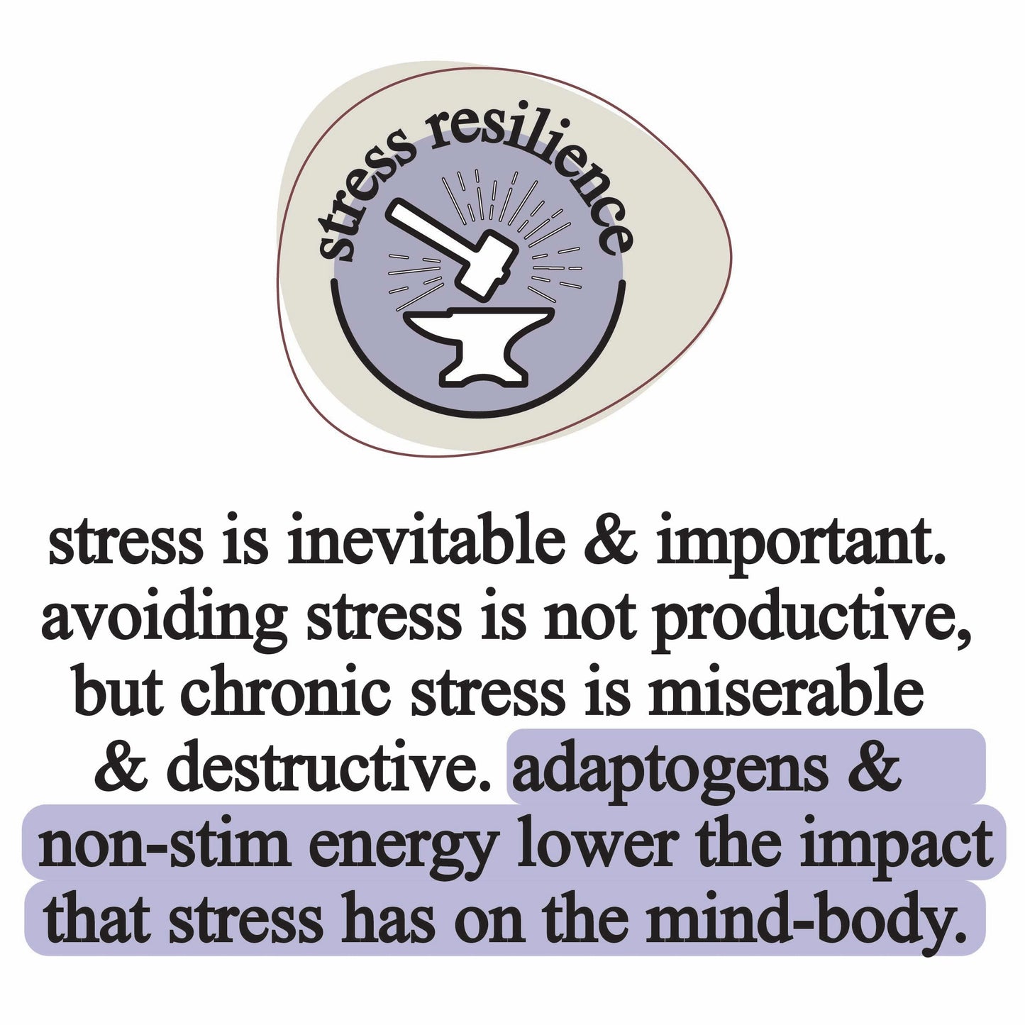 A gray anvil and hammer icon labeled stress resilience appears above black text discussing stress. Highlighted below: Roots Apothecary's elemental mushroom blend uses adaptogens like cordyceps extract for non-stim mind-body stress support.
