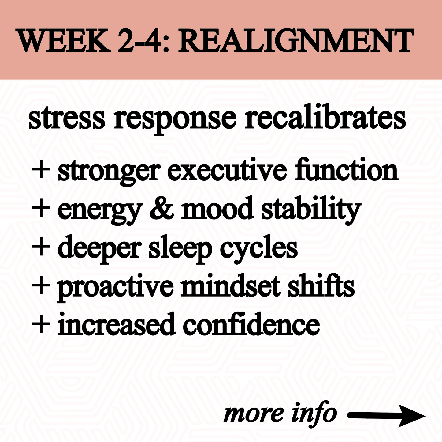 Graphic titled WEEK 2-4: REALIGNMENT shows benefits of Roots Apothecary anxiety tincture: adrenal balance, stronger executive function, better stress response, stable energy & mood, deeper sleep cycles, and calmer mental tension. More info arrow at bottom right.